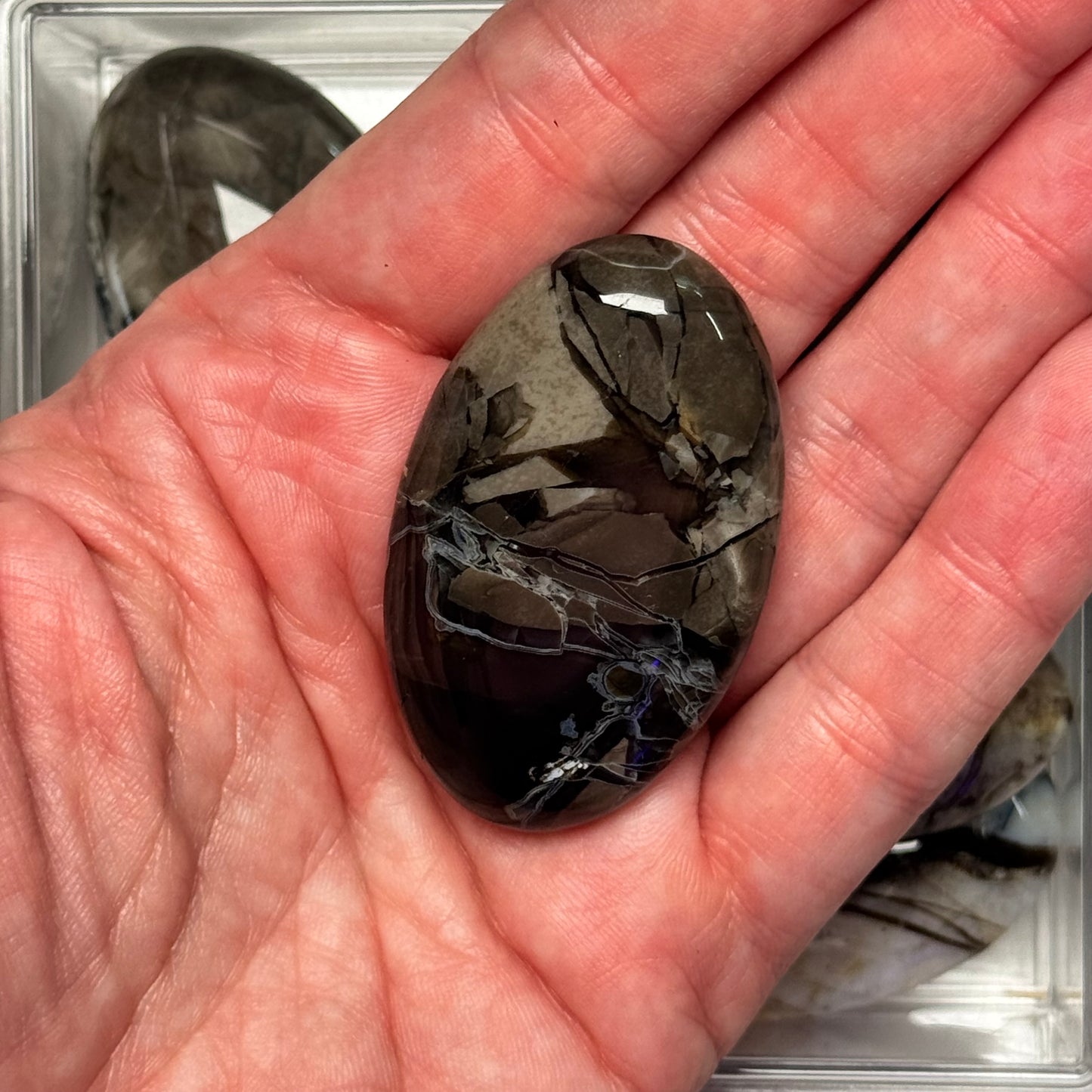 One (1) Volcanic Agate Palm Stone (UV Reactive)