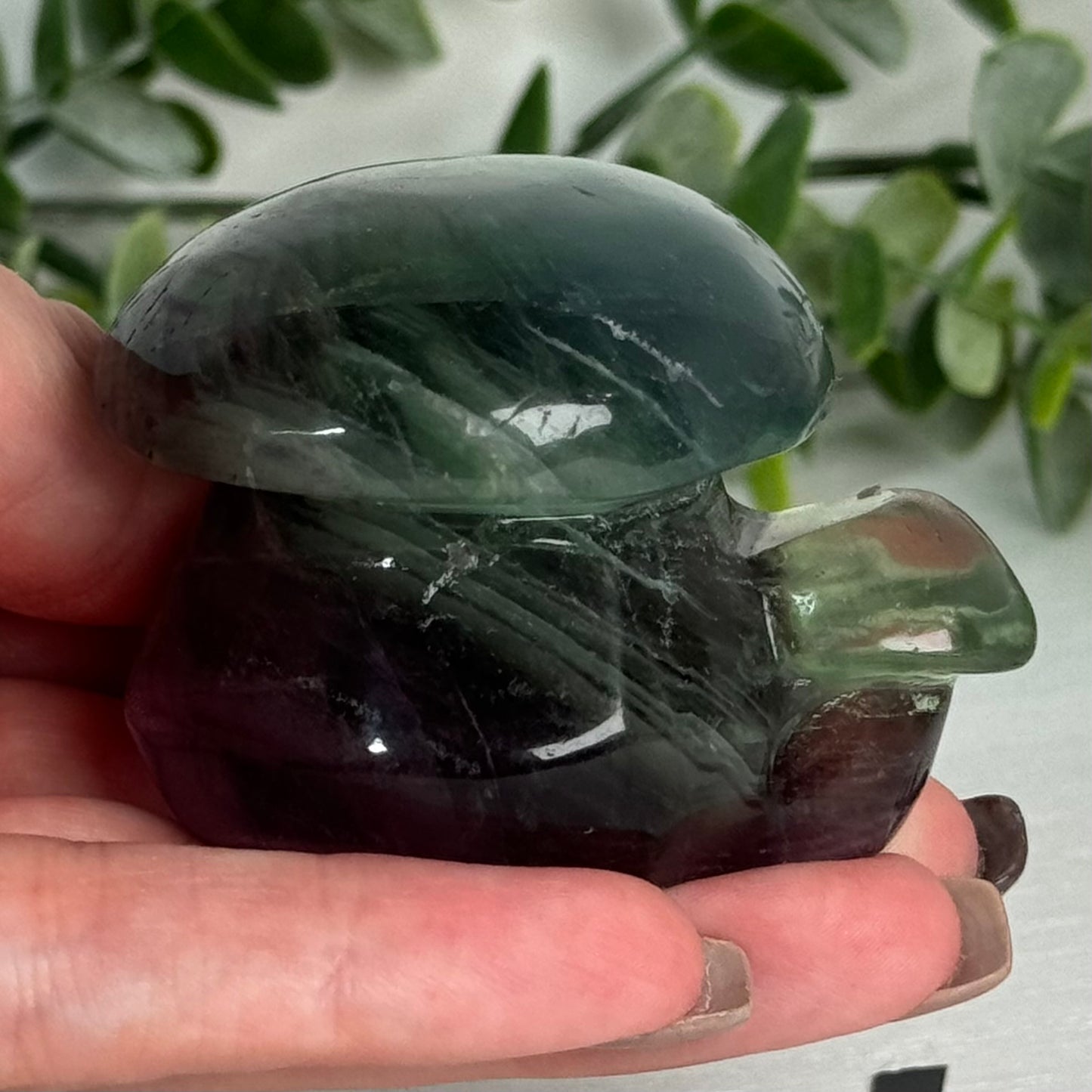 Fluorite Double Mushroom Carving A