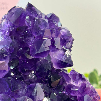 5.11-Inch HIGH QUALITY Amethyst Cluster from Uruguay