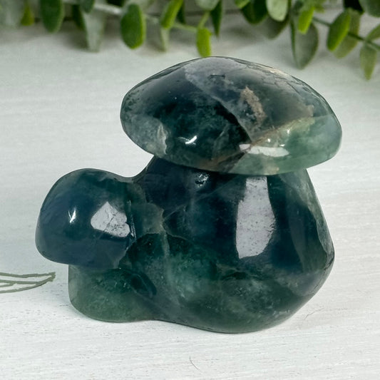 Fluorite Double Mushroom Carving D