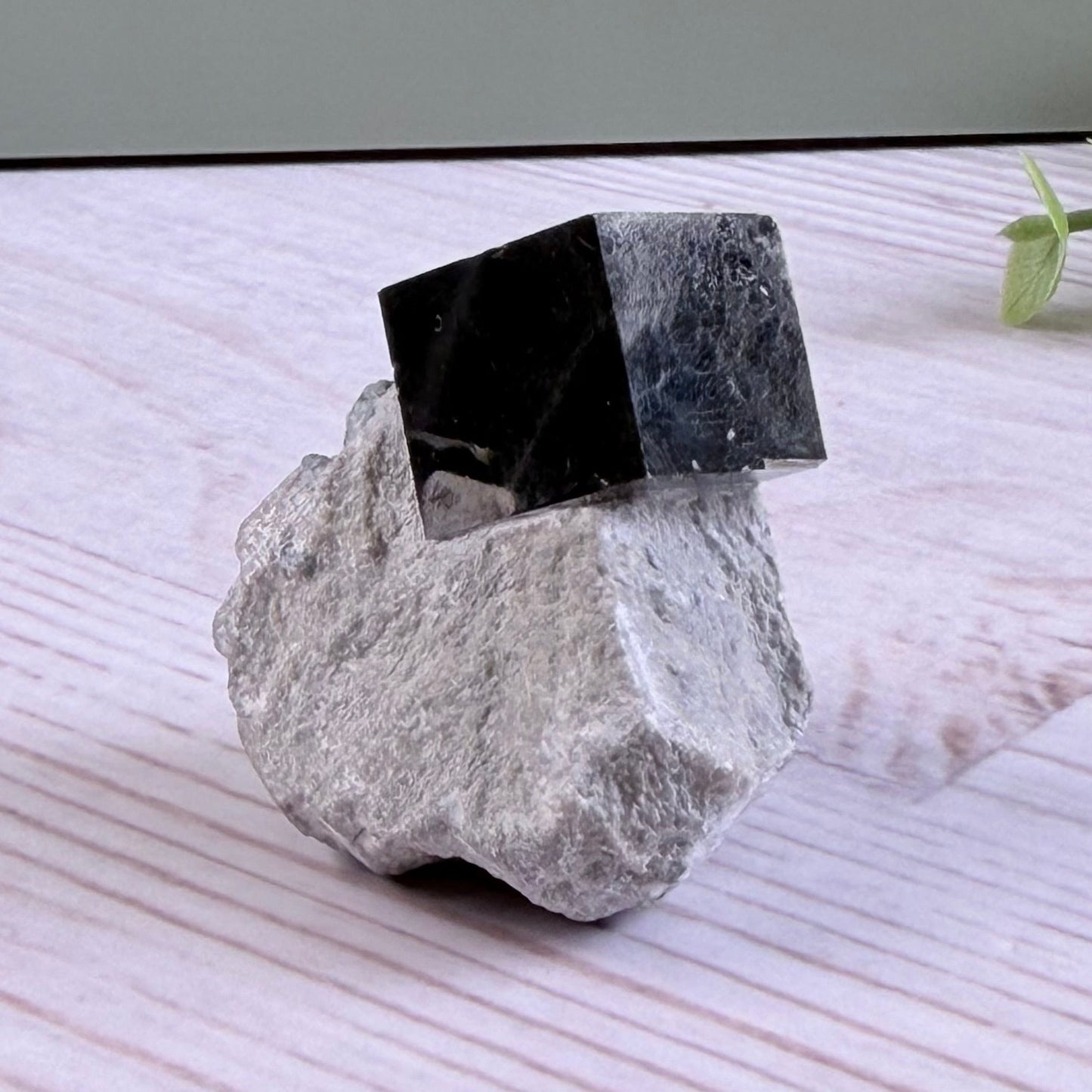 Cubic Pyrite on Marl Matrix – Navajún, Spain