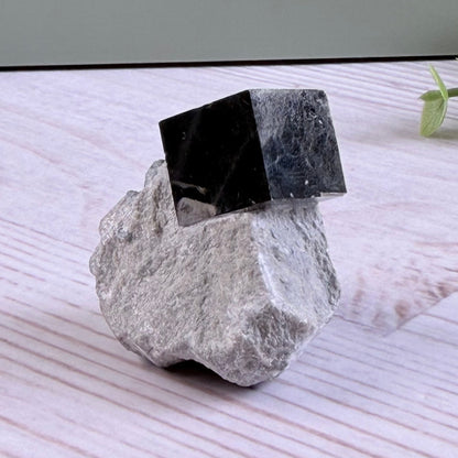Cubic Pyrite on Marl Matrix – Navajún, Spain