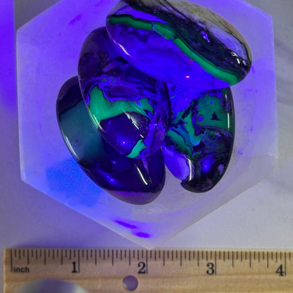 One (1) Volcanic Agate Palm Stone (UV Reactive)