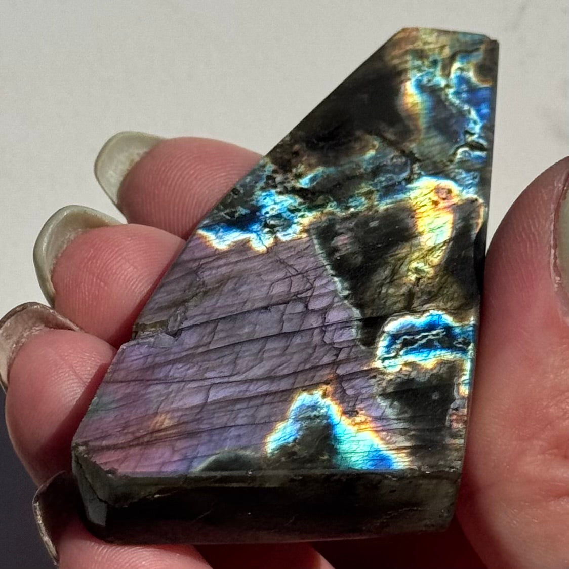 Flat Labradorite Freeform | Option B
