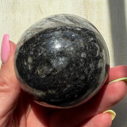 Orthoceras Nautiloid Fossil Sphere - Option B - Moroccan Cephalopod Matrix