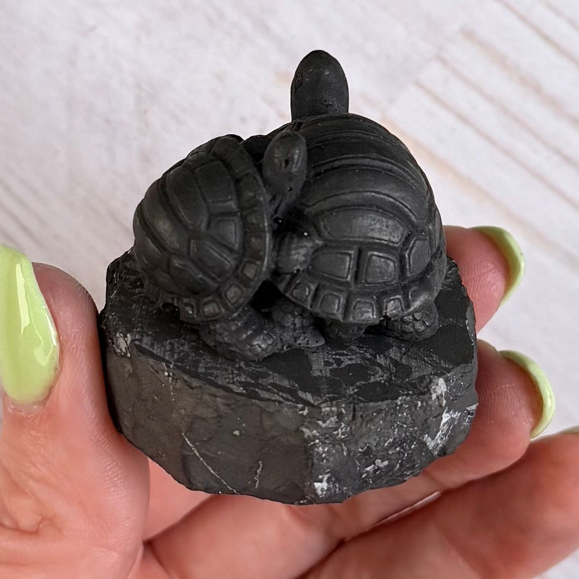 Karelian Shungite Turtle Family Carving - EMF Protection Statue