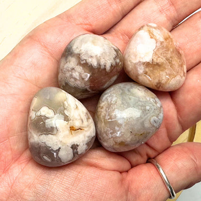 One (1) High Quality Flower Agate Tumble from Madagascar