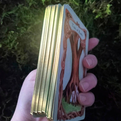 The Heartwood Oracle Deck — by Talyn S. Draconmore of Sunfeather Studio