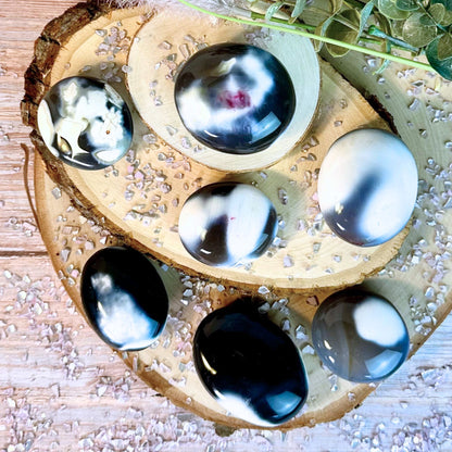 One (1) Orca Agate Palm Stone