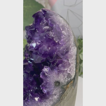 5.11-Inch HIGH QUALITY Amethyst Cluster from Uruguay