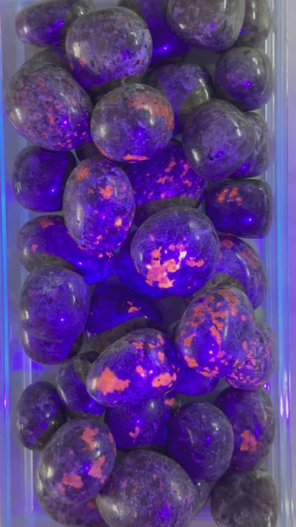 One (1) Premium Quality Yooperlite Tumble from Michigan (UV Reactive)
