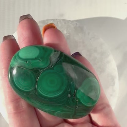 Malachite Palm Stone | Option D